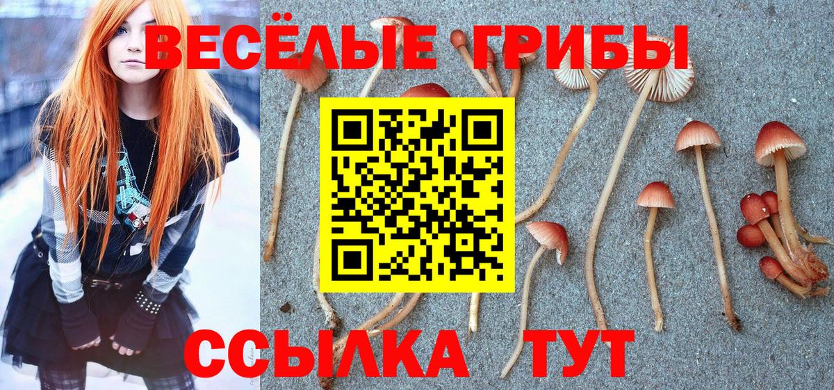 Галлюциногенные грибы мухоморы  Вход с VPN  Чапаевск 