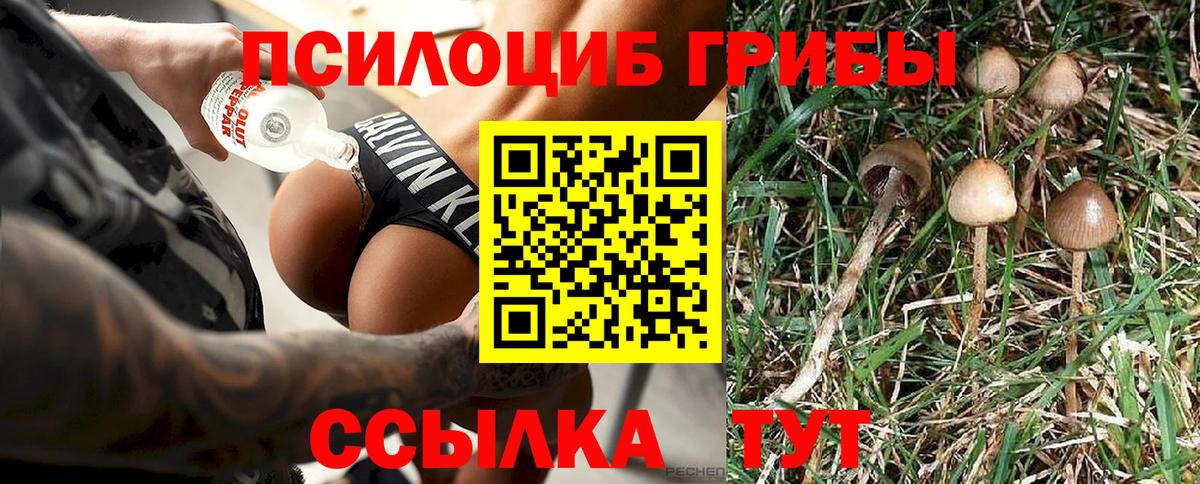 Галлюциногенные грибы Magic Shrooms Чапаевск